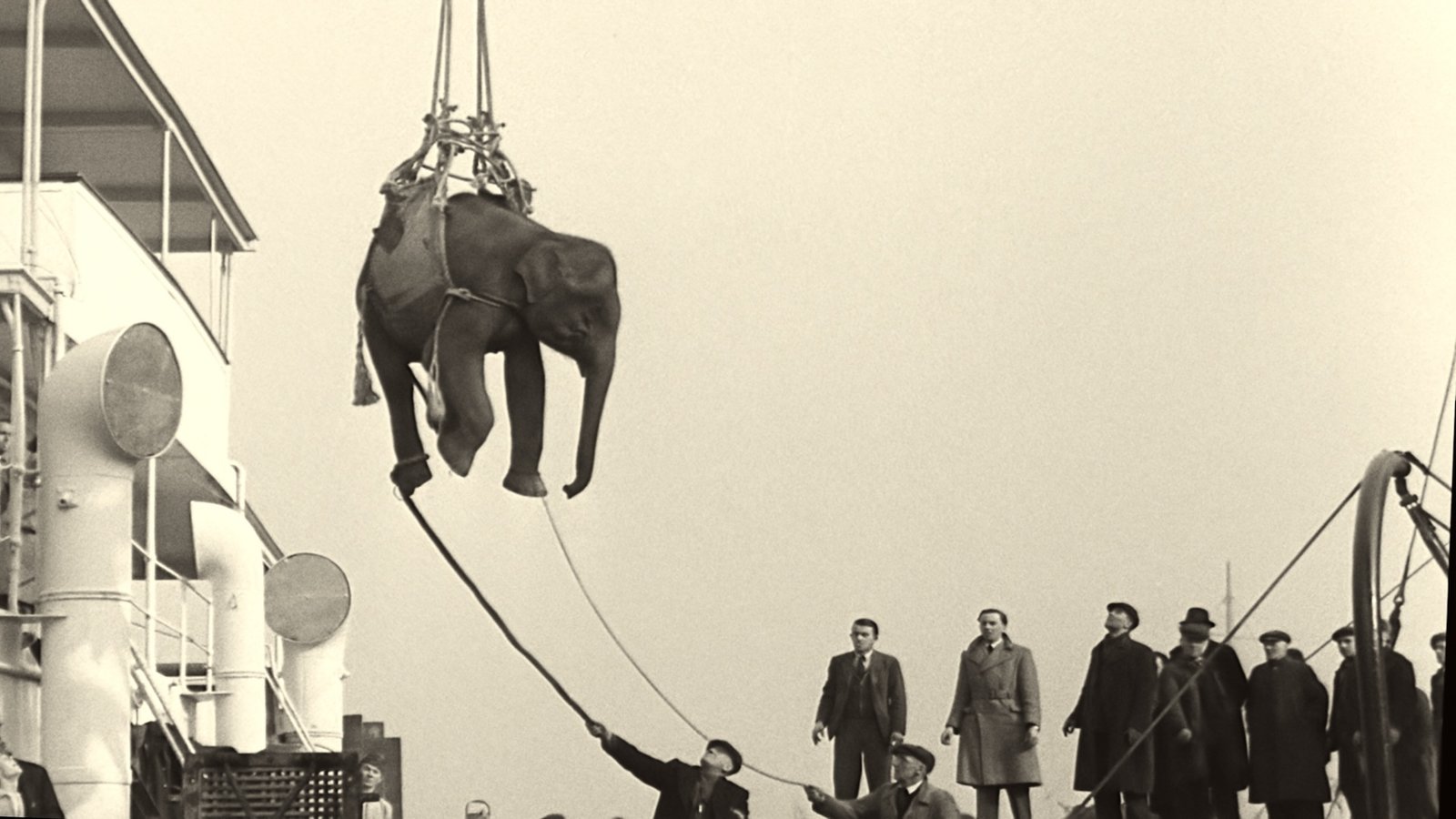 2024_Soundtrack to a Coup d'Etat_Johan Grimonprez_Elephant Cargo © British Pathé